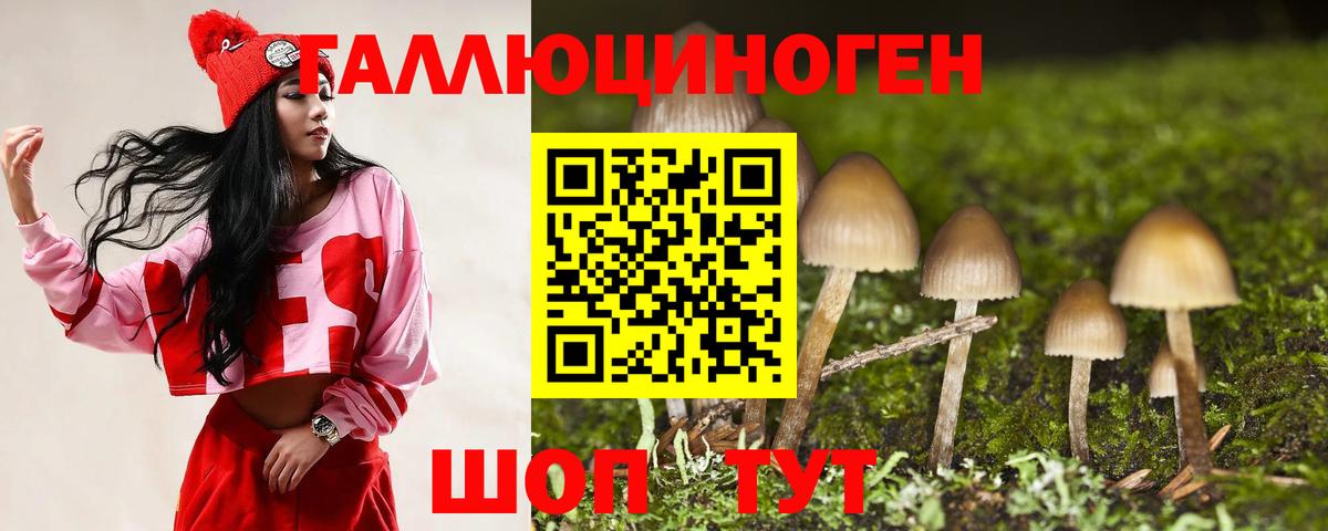 Усть-Илимск  Галлюциногенные грибы Psilocybe  Галлюциногенные грибы Psilocybe  Вход с VPN 
